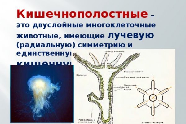 Кракен сайт наркотиков